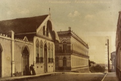 Palecete da Palmeira