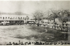 Grupo de pessoas ao redor de um gramado