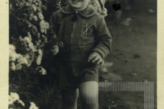 José Roberto Homem Mello