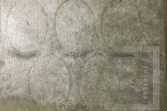 Álbum de Formatura-Escola de Fármácia e Odontologia de Pindamonhangaba Farmacolandos de 1927