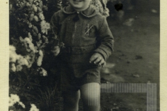 José Roberto Homem Mello