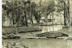 Bosque da Princesa