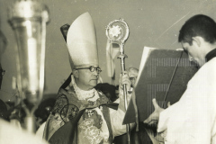 Cerimônia na Basílica de Aparecida