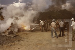Curso de brigadista