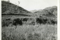 Estrada das Oliveiras