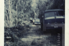 Estrada do Goiabal