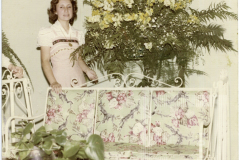Família Arlinda Salgado