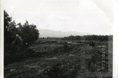 Terreno praça  Castelo Branco