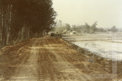 Ponte Alta