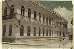 Palecete da Palmeira
