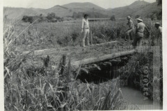 Ponte sobre o Rio Ipiranga