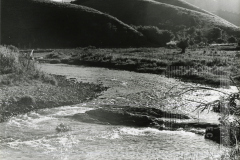 Paisagem de campo