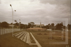 Planedi