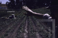 Homem de chapéu no campo