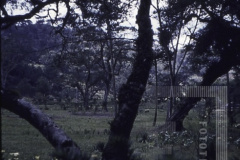 Vistas de Campos do Jordão
