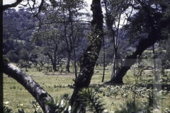 Vistas de Campos do Jordão