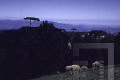 Casa no meio do campo