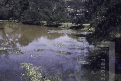 Vistas de Campos do Jordão