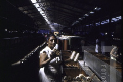 Mulher em Fábrica