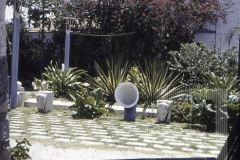 Casa em flores