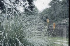 Estrada  rural
