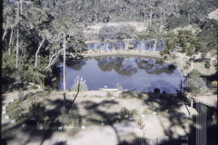 Vista de Lago