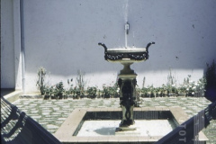 Chafariz em Jardim de inverno