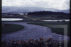 Paisagem em plantação