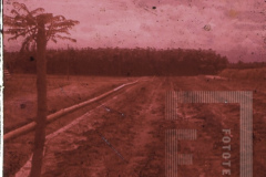 Paisagem rural