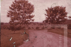 Paisagem rural