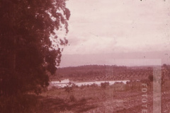Paisagem rural