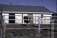 Fazenda