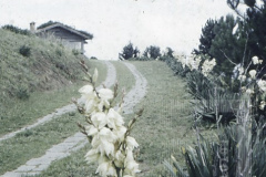 Paisagem de Campos do Jordão