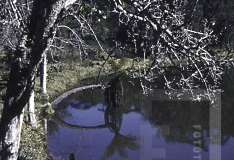 Paisagem de Campos do Jordão
