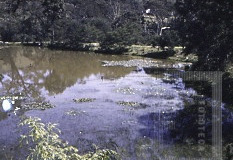 Paisagem em Campos do Jordão