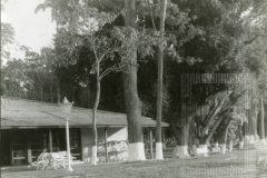 Restaurante do Bosque da Princesa