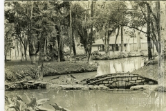 Bosque da Princesa