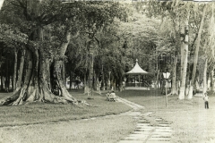 Bosque da Princesa