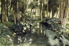 Bosque da Princesa