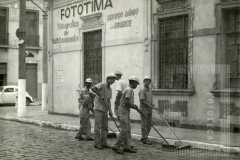 Cenourinhas em serviço