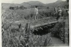 Ponte sobre o Rio Ipiranga
