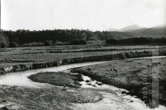 Paisagem de campo