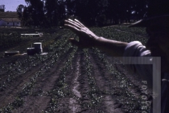 Homem de chapéu no campo
