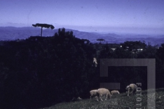 Casa no meio do campo