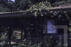Casa em campo