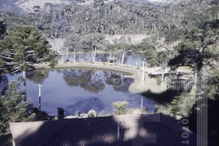 Vista de Lago