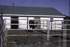 Fazenda