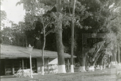 Restaurante do Bosque da Princesa