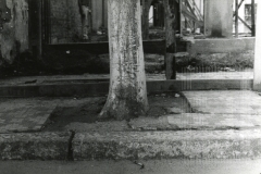 Av. Doutor Jorge Tibiriçá