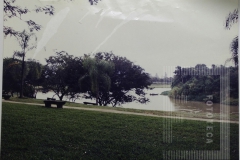 BOSQUE DA PRINCESA COM TIO AO FUNDO